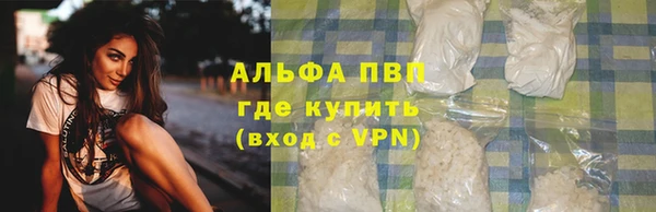 прущие грибы Белоозёрский