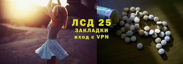 прущие грибы Белоозёрский