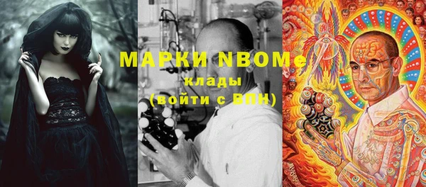 PSILOCYBIN Белокуриха