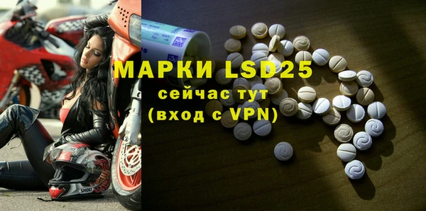 PSILOCYBIN Белокуриха
