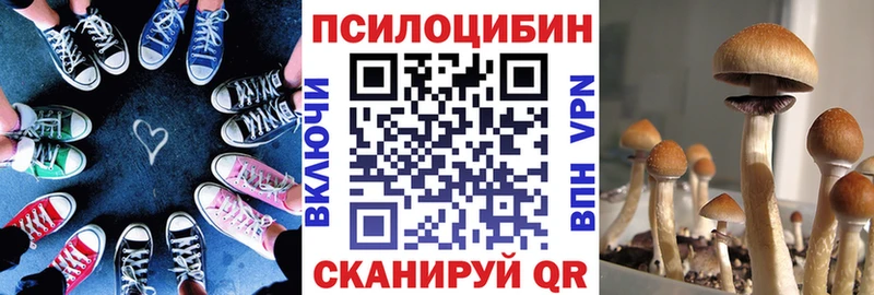 Галлюциногенные грибы Cubensis Красноармейск